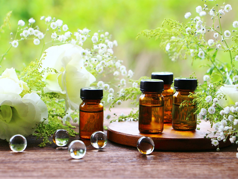 香りと植物が彩る、自然体の暮らし