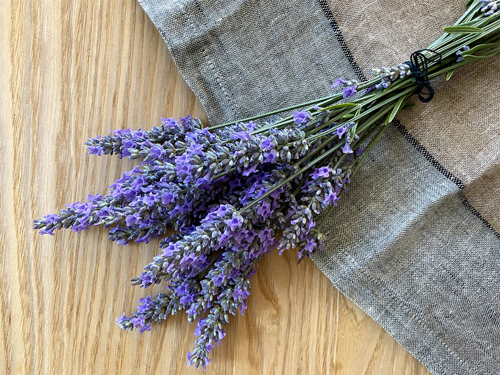 毎日に取り入れる、身近な癒しのかたち